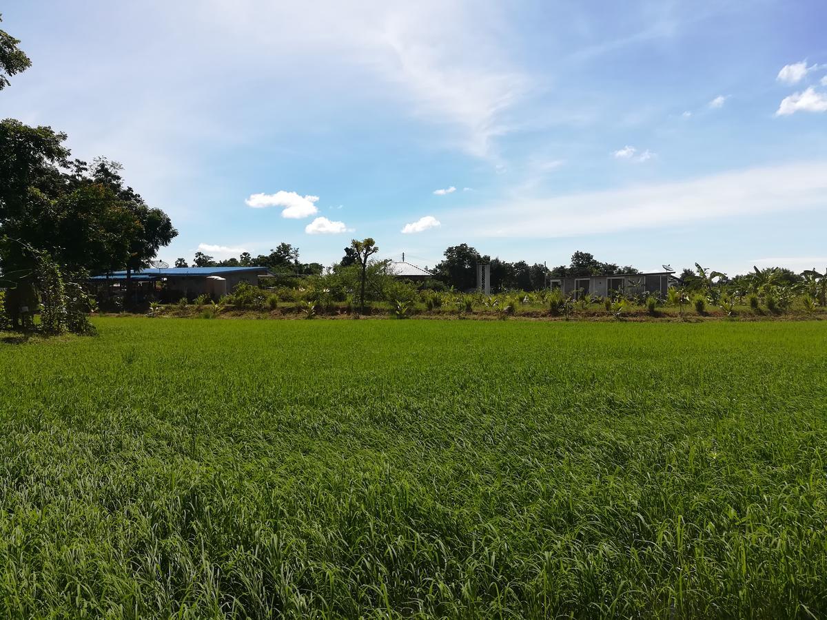 Bn Resort Ban Nong Chum Saeng Εξωτερικό φωτογραφία
